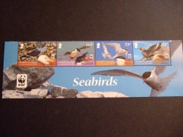 SOUTH GEORGIA  2012   SEABIRDS   STRIP     MNH **     (1051500-425) - Südgeorgien