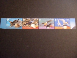 SOUTH GEORGIA  2012   SEABIRDS   STRIP     MNH **     (1051500-425) - Zuid-Georgia