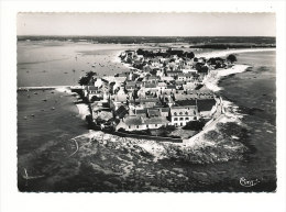 CPSM Ile Tudy - Vue Aérienne Générale De L'île Et Du Port  //  CP 8/813 - Ile Tudy