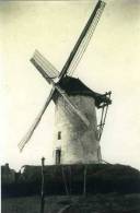 BAASRODE Bij Dendermonde (O.Vl.) - Molen/moulin - Mooie Close-up Van De Gewezen Heirbaanmolen Omstreeks 1930 - Dendermonde