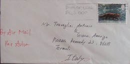 UK 1992 AIR MAIL TO Italy Letter FOX Animal Used COVER - Storia Postale