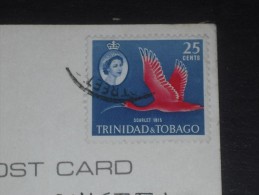 LETTRE TRINITE ET TOBAGO TRINIDAD AND TOBAGO AVEC YT 184 - OISEAU IBIS ECARLATE - ELIZABETH II - CPM MARCHE - - Trinidad & Tobago (...-1961)