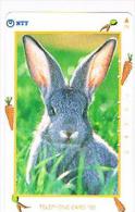 GIAPPONE  (JAPAN) - NTT (TAMURA)  -  CODE 231-265 ANIMALS: RABBIT         - USED - RIF.8347 - Conigli