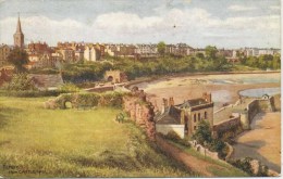SALMON ART CARD - CARRUTHERS - 4290 -   TENBY FROM CASTLE HILL - Carmarthenshire