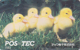 Télécarte Japon 7/11 - 7553 - 105 U - Oiseau CANARD Canetons ** ONE PUNCH ** - DUCK Bird Japan Phonecard - ENTE - Hühnervögel & Fasanen