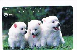 GIAPPONE  (JAPAN) - NTT (TAMURA)  -  CODE 390-343   DOGS 1990     - USED - RIF. 8427 - Chiens