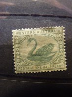 Western Australia 1885-93 1/2d Green SG 94 Mint - Mint Stamps