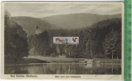 Bad Sachsa, Blick Nach Dem Katzenstein,  1929 -Verlag: R. Lederbogen, Halberstadt, POSTKARTE, Mit Frankatur, - Bad Sachsa