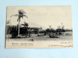 Carte Postale Ancienne : MAURITIUS : Black River Savanna, Stamps - Maurice