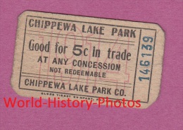 Ticket Ancien De Train - CHIPPEWA LAKE PARK , Ohio , USA - Railroad - 1914 - Sonstige & Ohne Zuordnung