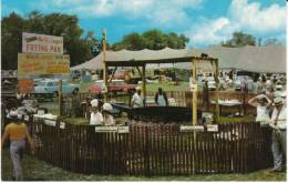 Eastern Shore DE Delaware, World´s Largest Frying Pan Delmarva Chicken Festival, C1950s/60s Vintage Postcard - Otros & Sin Clasificación