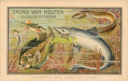 Chromo  Van Houten, Format Cpa, Poissons Des Mers Du Nord, Scan Recto Verso - Van Houten