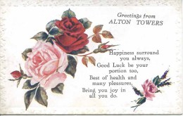 STAFFS - ALTON TOWERS - GREETINGS FROM St191 - Altri & Non Classificati