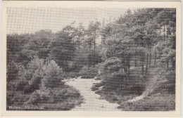 Holten - Niemendal  -1952-  Overijssel / Nederland - Holten