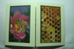 Insecte - Abeille - Le Miel - Insetti