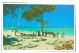 AK Dominikanische Republik 1997 Boca Chica Strand Meer Pferde - Dominicaine (République)