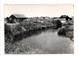 Nieulle Sur Seudre Vue Sur Les Parcs A Huitres Canton Marennes - Marennes