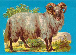 VICTORIAN SCRAP,  XL SHEEP, RAM, DECOUPIS  ANCIENS GAUFRE, XL MOUTON, BELIER, EX Cond,  15 X 11 Cm - Animales