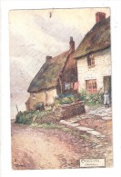 CADGWITH RAPHAEL TUCK & SONS OILETTE JOTTER  No. 1681 ARTIST DRAWN POSTCARD CORNWALL USED 1904 - Andere & Zonder Classificatie