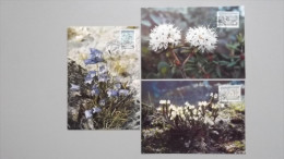 Grönland 205/7 Yt 192/3 Maximumkarte MK/CM, SST BELGICA 1990, Blumen: Glockenblume, Sumpfporst, Zypressenheide - Cartoline Maximum