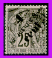 S.-Pierre-&-M.-024  -  1891 - Y&T: N.42 (Privo Di Difetti Occulti) - Netti € 5,00 - Used Stamps