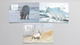 Grönland 239/41 Yt 227/9 Maximumkarte MK/CM, ESST, Einheimische Säugetiere: Wolf, Polarfuchs, Ren - Cartas Máxima
