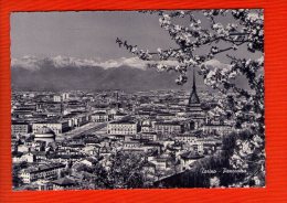 1 Cp Torino - Mehransichten, Panoramakarten