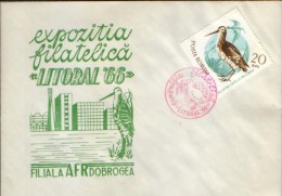 Romania- Occasionally Cover 1966-  Birds,snipe The; Bécassine; Bekassine (capella Gallinago) - Storchenvögel