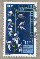 NOUVELLE-CALEDONIE Orchidées : Lyperanthus Gigas - Usados