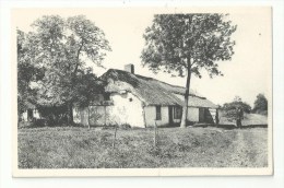 Kasterlee - Rustige Oude Hoeve Aan De Kluis - Kasterlee