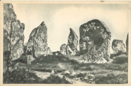 Carnac Alignement De Kermario Très Bon Etat - Dolmen & Menhirs