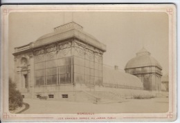 PHOTO  Bordeaux ,support Cartonné - Old (before 1900)