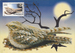 BIRDS, NIGHTJAR, CM, MAXICARD, CARTES MAXIMUM, 1998, ROMANIA - Piciformes (pájaros Carpinteros)