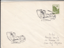 BIRDS, STORK, SPECIAL POSTMARK COVER, 1993, ROMANIA - Storks & Long-legged Wading Birds