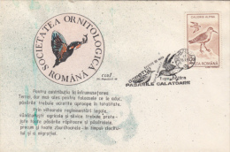 BIRDS, DUNLIN, SPECIAL COVER, 1993, ROMANIA - Storks & Long-legged Wading Birds