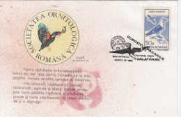 BIRDS, BLACK SEAGULL, SPECIAL COVER, 1993, ROMANIA - Mouettes