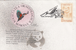 BIRDS, GODWIT, SPECIAL COVER, 1993, ROMANIA - Storchenvögel