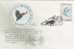 BIRDS, WHISKERED TERN, SPECIAL COVER, 1993, ROMANIA - Albatros