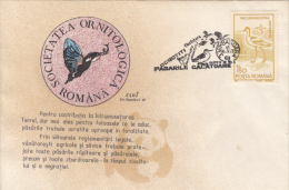 BIRDS, PIED AVOCET, SPECIAL COVER, 1993, ROMANIA - Cigognes & échassiers