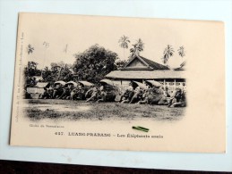 Carte Postale Ancienne : LAOS : LUANG-PRABANG : Les Eléphants Assis - Laos