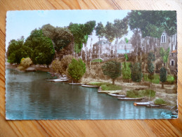 49 : Seiches-sur-le-Loir - Les Bords Du Loir - Barques - Bateaux - Colorisée - (n°2089) - Seiches Sur Le Loir