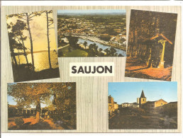 Delcampe - SAUJON - Multivues - Saujon