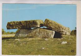 CPM DPT 81 VAOUR, LE DOLMEN - Vaour