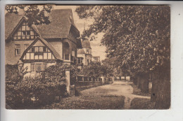 4937 LAGE, Eichenallee, 1921 - Lage