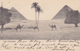 THE PYRAMIDS 1905 - Pyramides