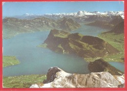 CARTOLINA VG SVIZZERA - VIERWALDSTÄTTERSEE BÜRGENSTOCK - 10 X 15 - ANNULLO PRESENTE - Autres & Non Classés