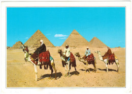 CARTOLINA - Egitto - Egypt - Giza - Piramidi - Cammelli - Viaggiata Per Les Deux Alpes - Guiza