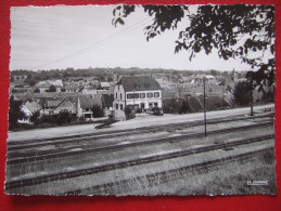 67 - DIEMERINGEN - VUE GENERALE - " RESTAURANT , GARE DU CHEMIN DE FER ...." - RARE - - Diemeringen