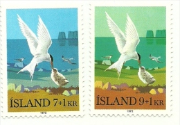 1972 - Islanda 422/23 Gabbiani    ------- - Albatros & Stormvogels