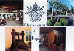 CPM  Chateauneuf Du Pape - Chateauneuf Du Pape